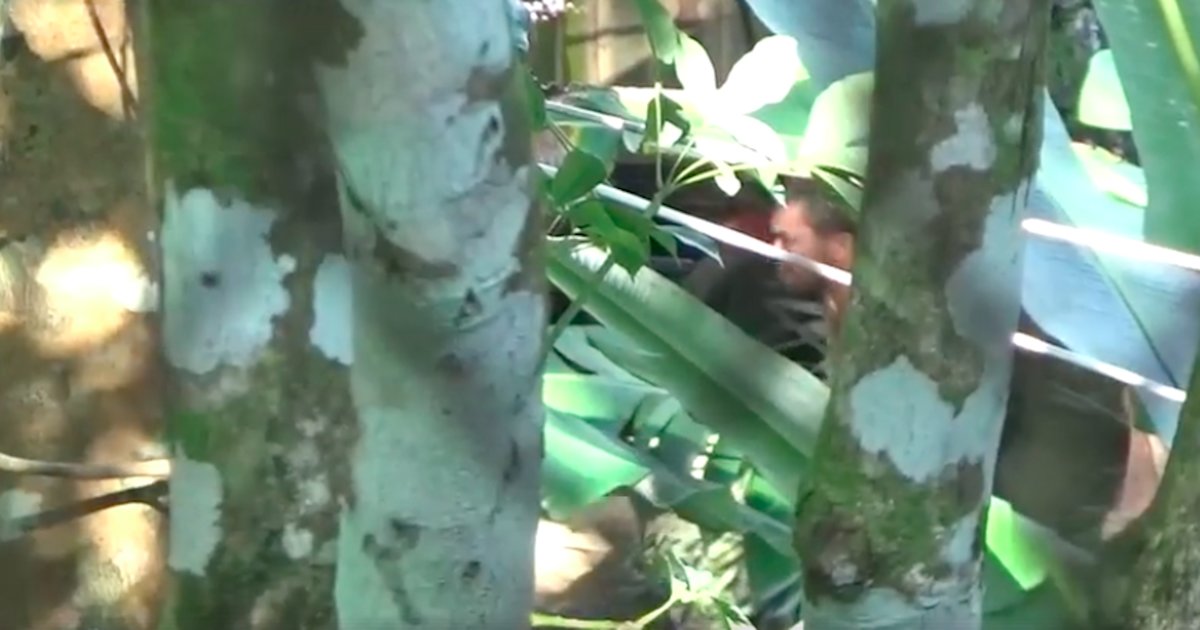 Disturbing Video Shows Man Beating Elephant At Thailand Tourist Camp ...