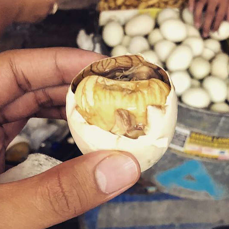 Albums 91+ Images Unfertilized Fertile Duck Eggs Pictures Stunning