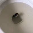 People Rescue Snake Stuck In A Toilet