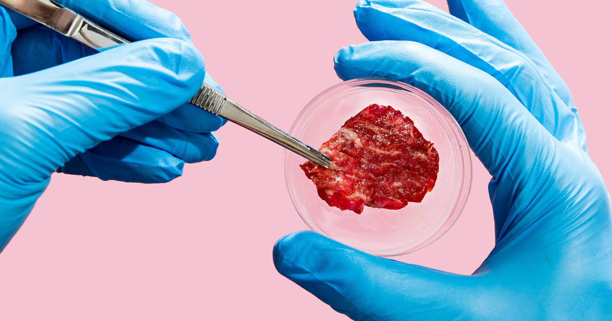 Scientists Are Literally Spinning Up Lab-Grown Meat