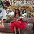 Here's Why You Should Never Take A Selfie With A Tiger