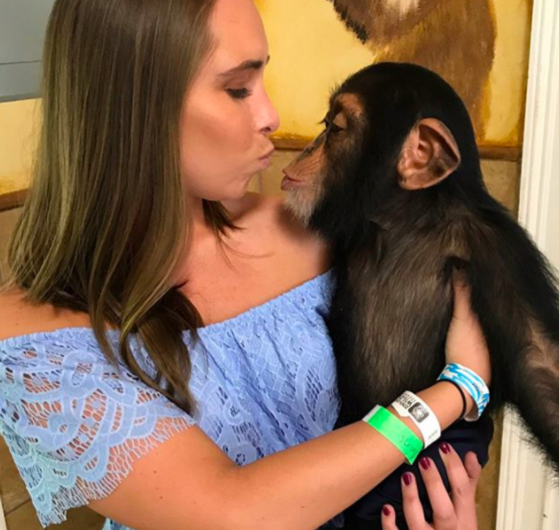 Truth Behind Miami Zoo Chimp Hugging Dog In Viral Video Isn't Cute ...