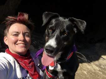 dog abandoned utah highway rescue