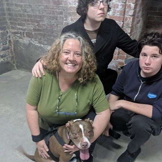 peaches yonkers dog adopted