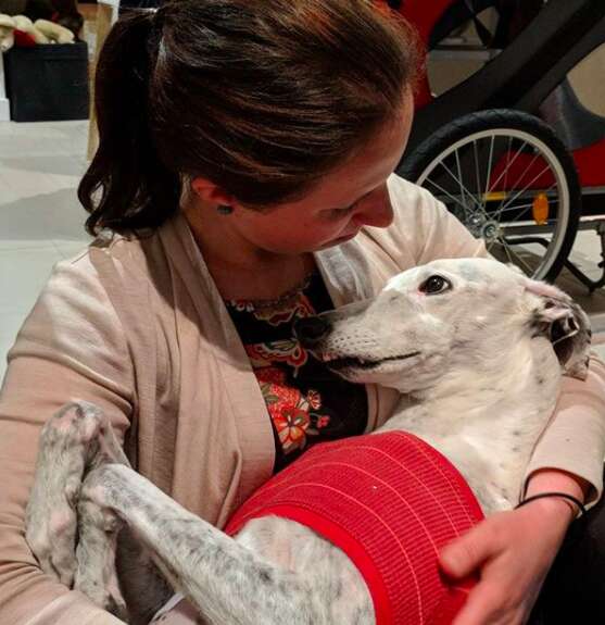 Rescue Greyhound With ‘Human’ Teeth Has An Adorable Overbite The Dodo