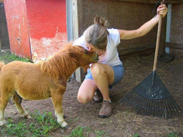 Woman kissing mini horse on the nose