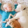 Rescue Dog And Her Little Boy Keep Each Other Safe