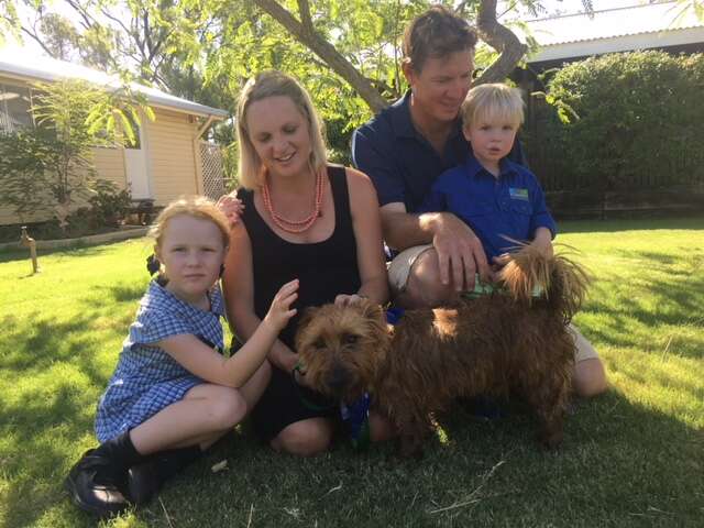 Rusty the Australian terrier home with the Scudamores