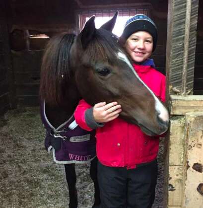 rescue pony ontario