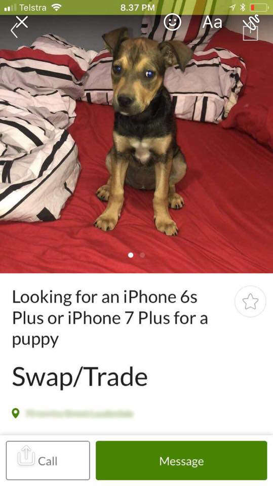 Ad selling puppy for an iPhone