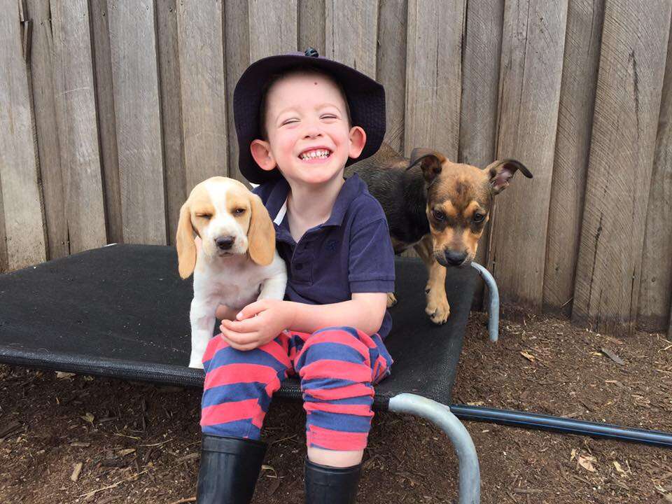 Little boy with two rescued puppies