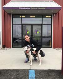 rescue pit bull dumpster philadelphia