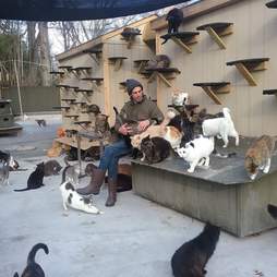Meet The Long Island Cat Man Who Has Rescued Thousands Of Strays