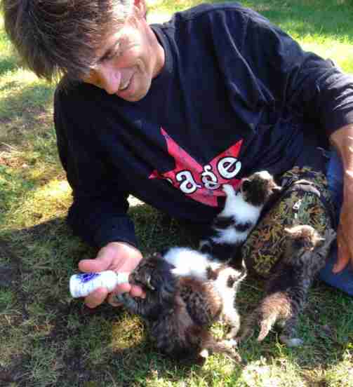 Meet The Long Island Cat Man Who Has Rescued Thousands Meet The Long Island Cat Man Who Has Rescued Thousands