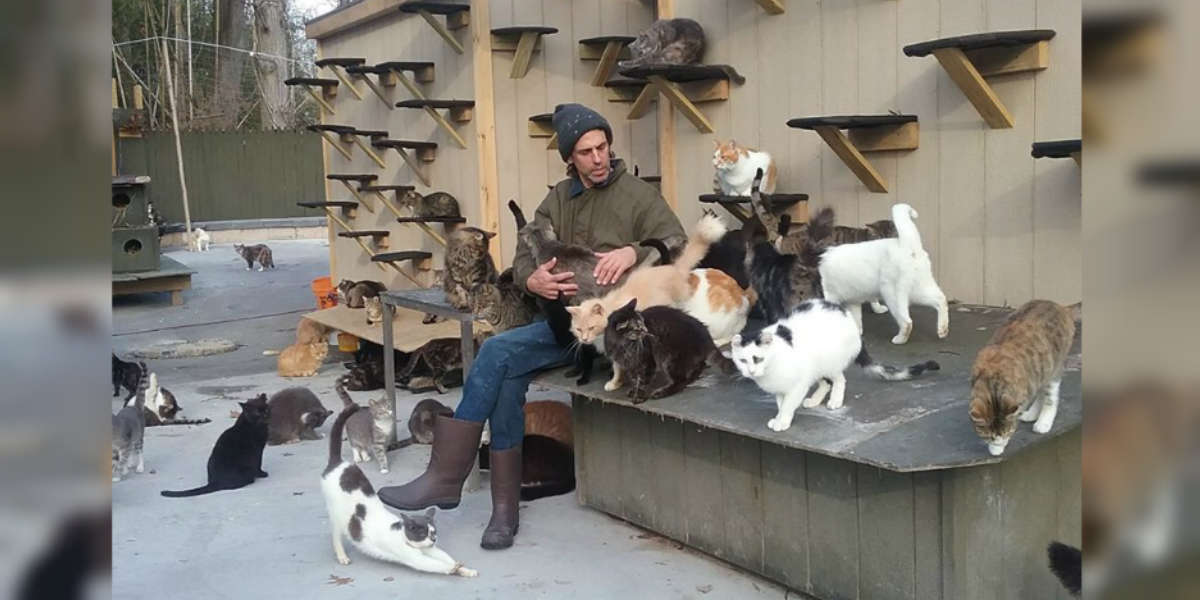Meet The Long Island 'Cat Man' Who Has Rescued Thousands Of Strays - The Dodo
