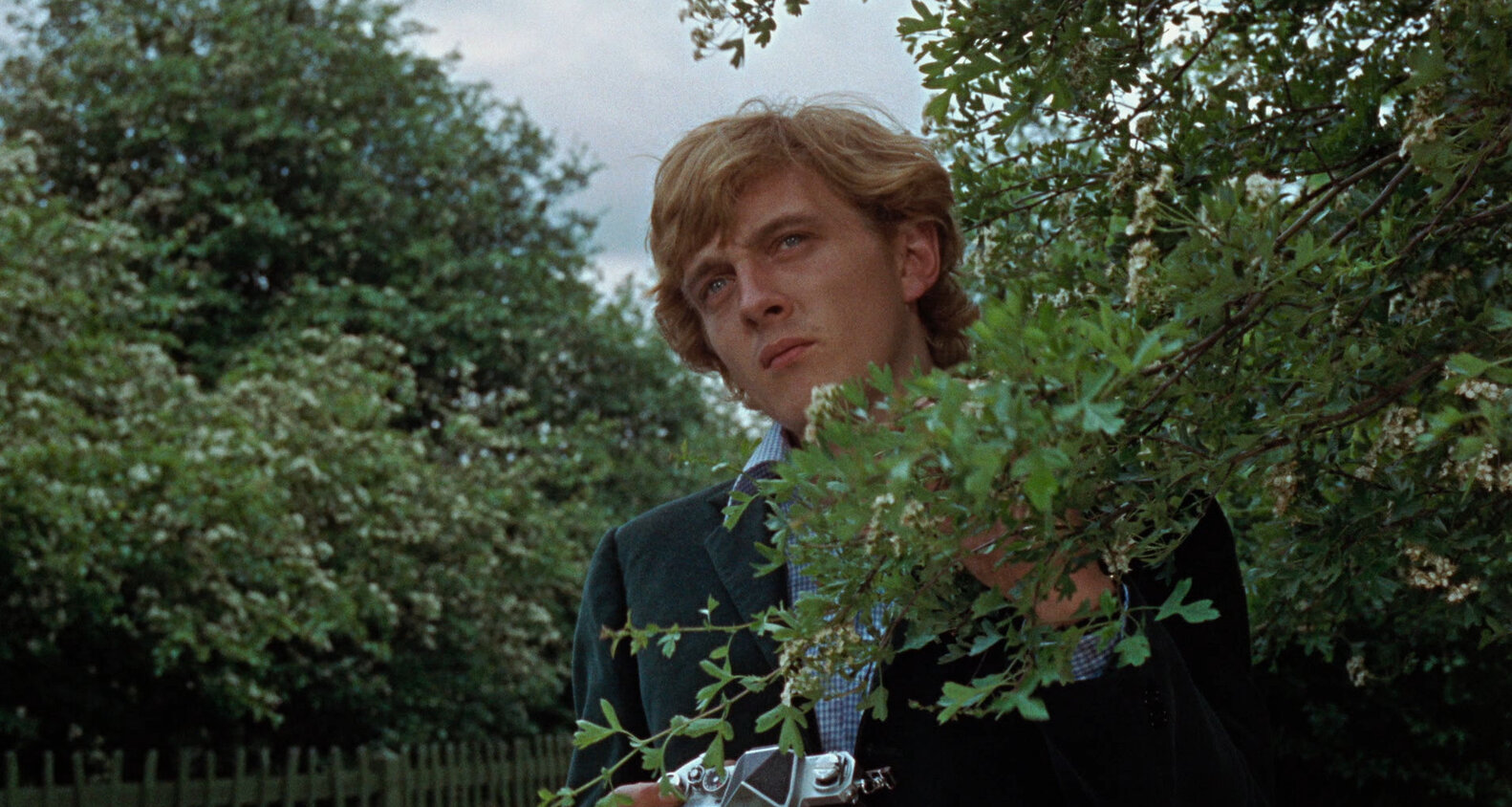 Best Classic Movies Great Old Movies to Watch Right Now on FilmStruck