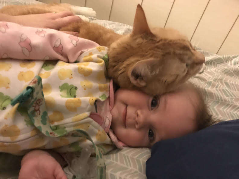 Cat and baby cuddling together