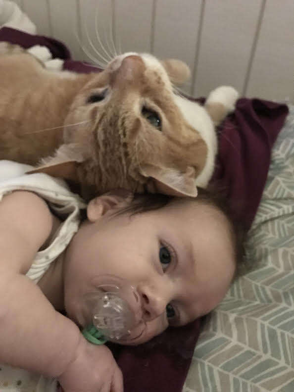 Cat cuddling baby