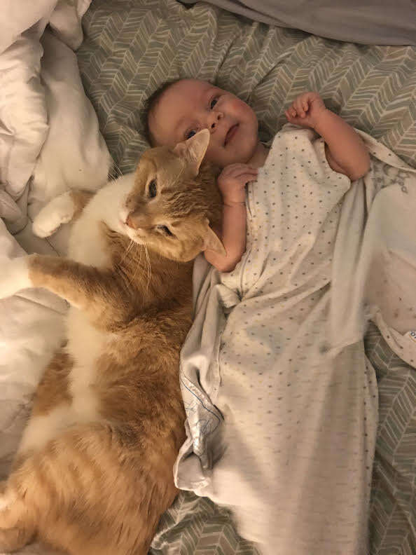 Cat cuddling with baby