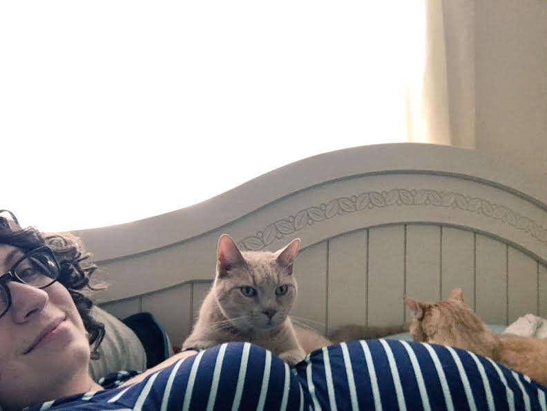 Cat snuggling on woman's pregnant belly