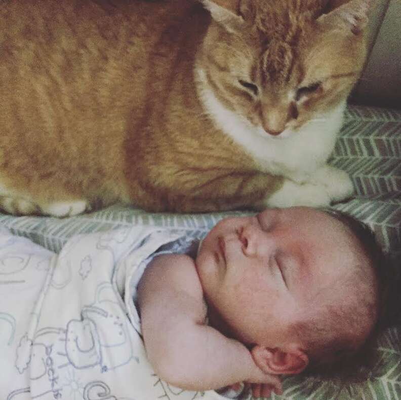 Cat sitting next to newborn baby