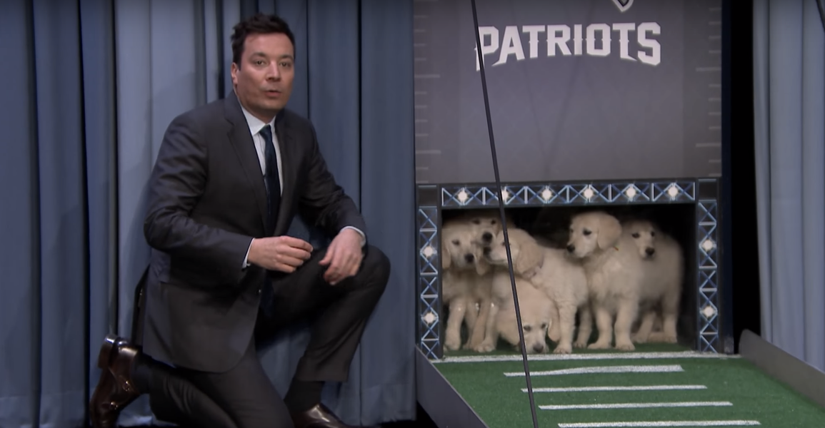 Super Bowl Predictions Jimmy Fallon Has Puppies Predict the Game