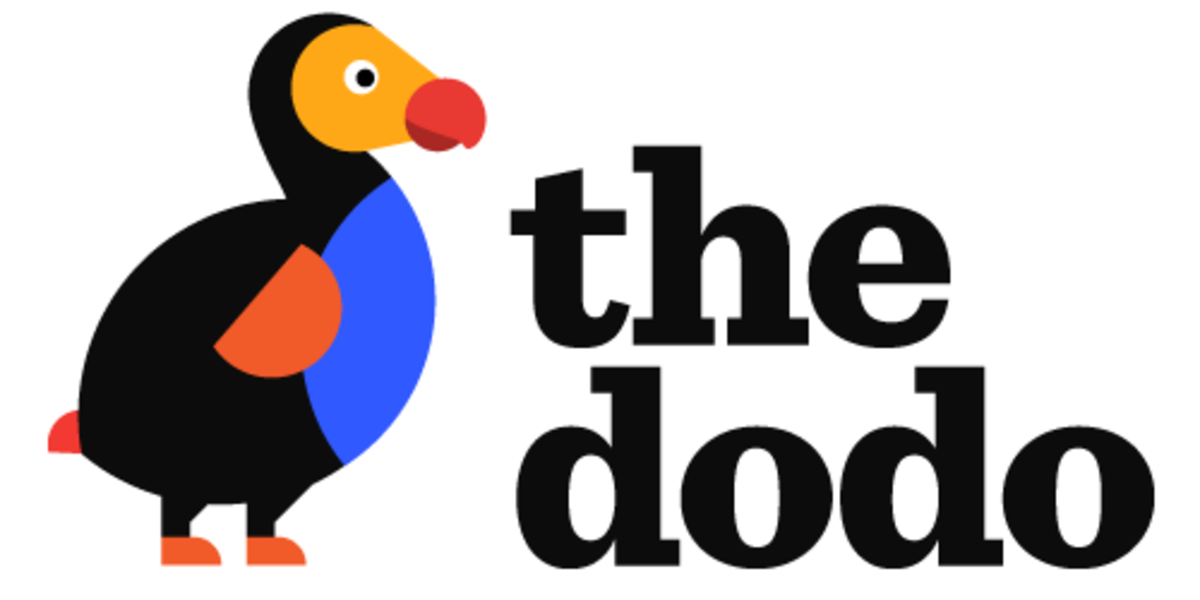 The Rise of Dodo Social Media: Revolutionizing Online Engagement
