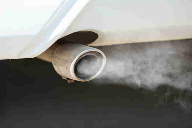 Volkswagen Funded Secret Emissions Experiment Using Monkeys - The Dodo