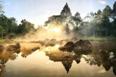 hot springs in a forest