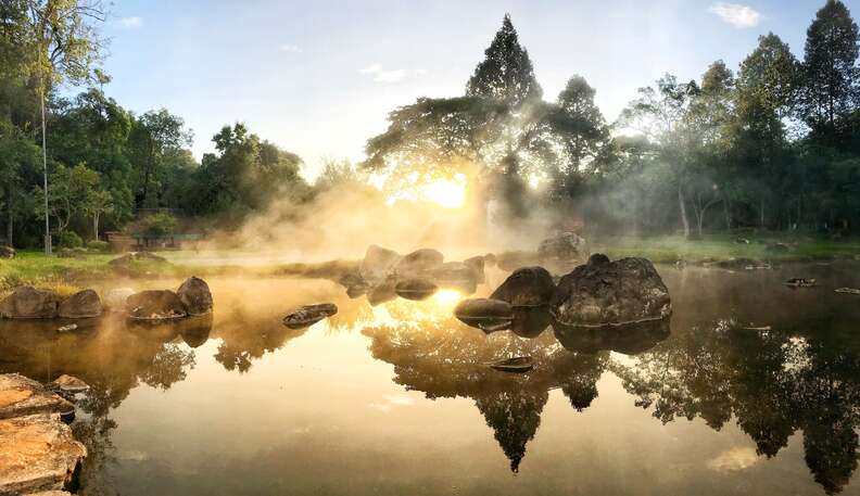 hot springs in a forest