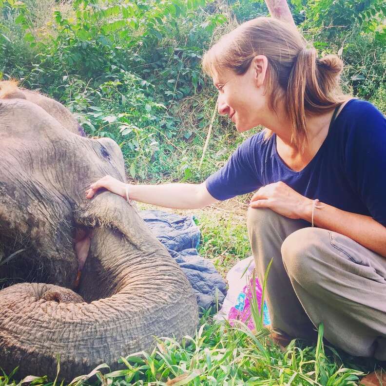 Sanctuary founder comforting elephant