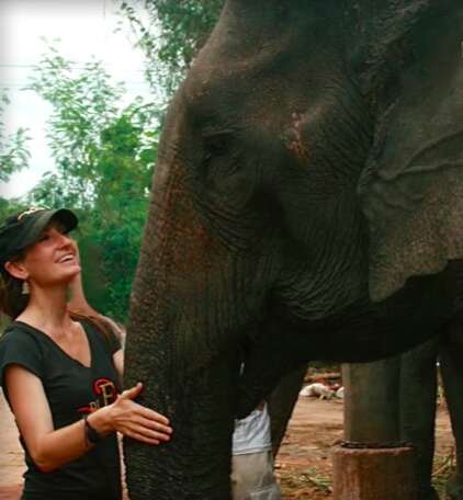 Elephant getting rescued from riding camp