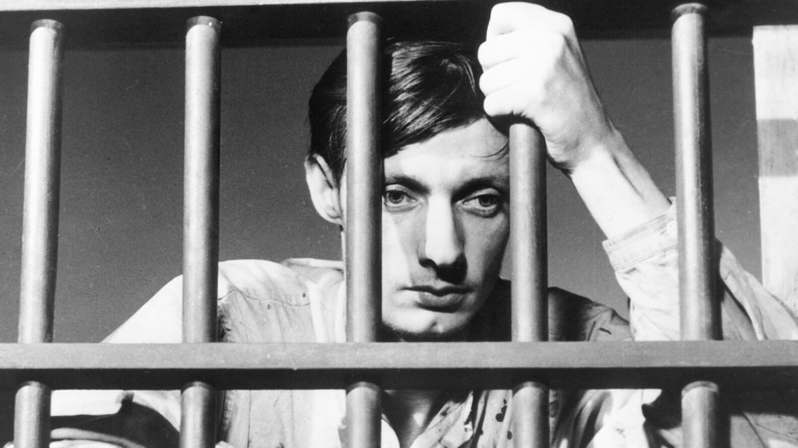 Best Classic Movies Great Old Movies to Watch Right Now on FilmStruck