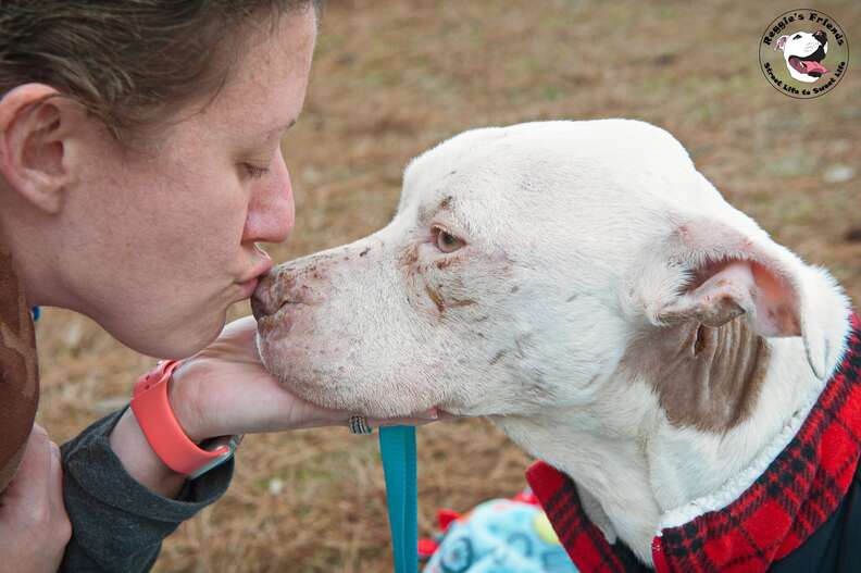 Woman kidding nose of rescued dog