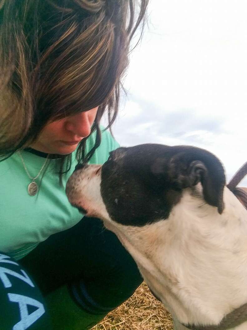 Dog kissing rescuer