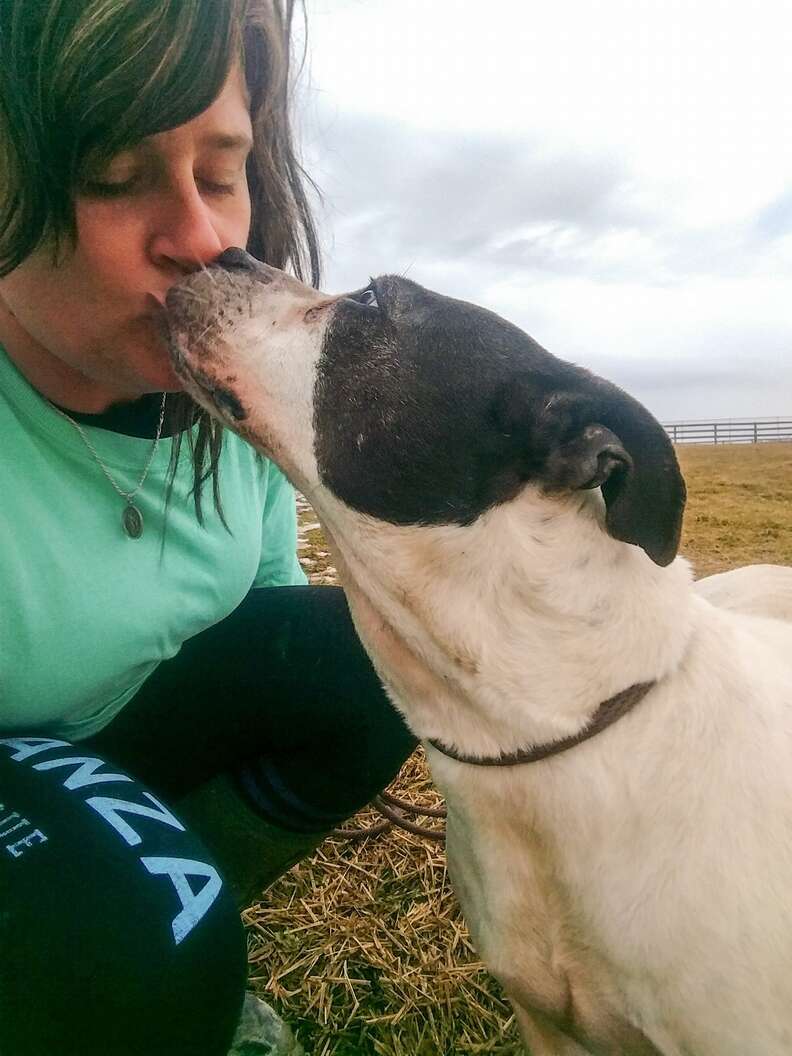 Dog kissing rescuer
