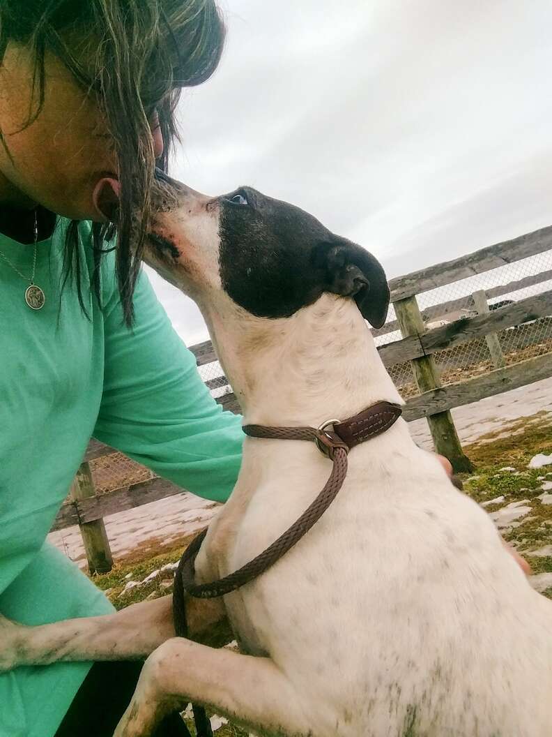 Dog kissing rescuer