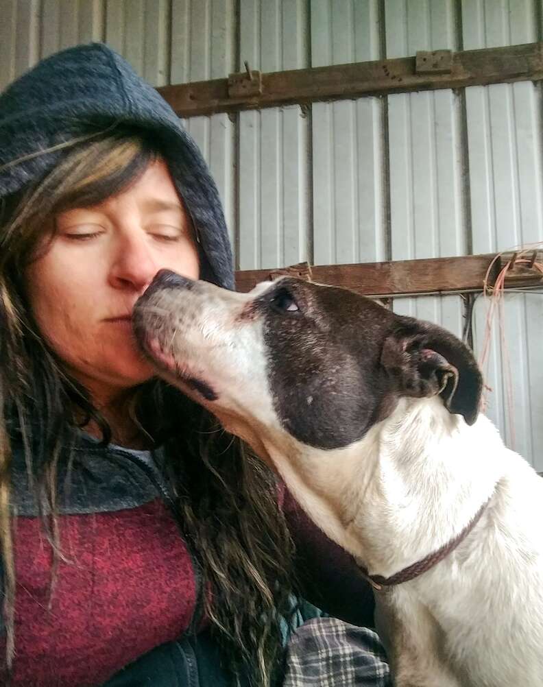 Dog saved from homelessness kissing rescuer
