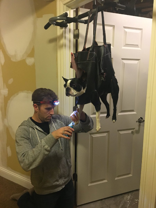 dog nail clipping bag