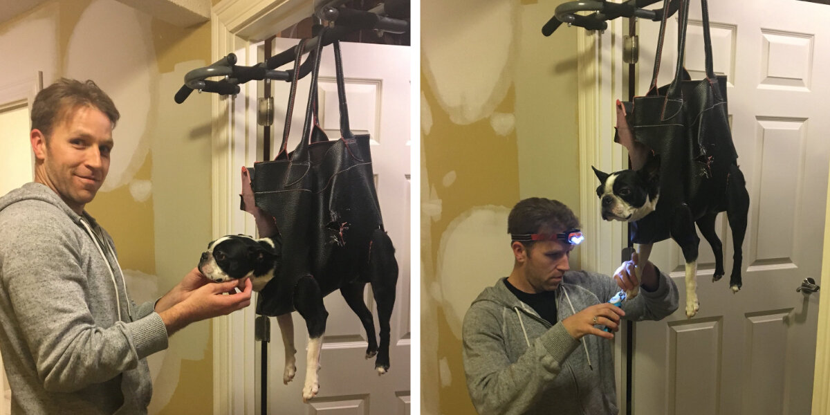 Dad Modifies Purse To Make Trimming Nails Easier On His Dog The Dodo