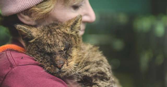 Woman comforting cat with mange at shelter