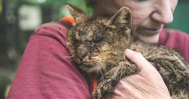 Woman cuddling shelter cat with mange