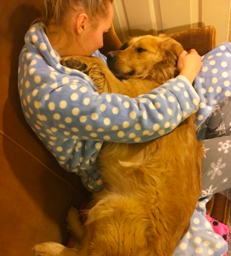 Golden Retriever Rescued From China S Dog Meat Trade Is So Happy Now The Dodo