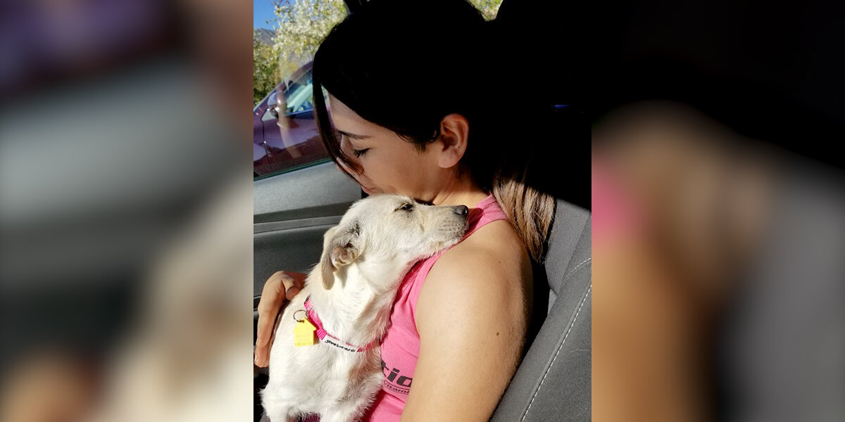 No One Could Catch This Stray Puppy Until One Rescuer Showed Her Love ...