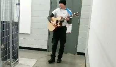 dogs sing shelter north carolina