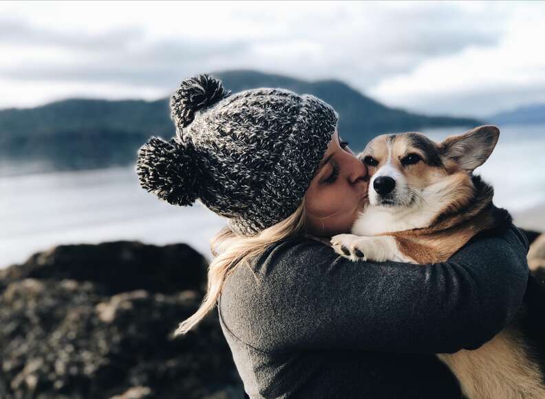 corgi comforts man in airport