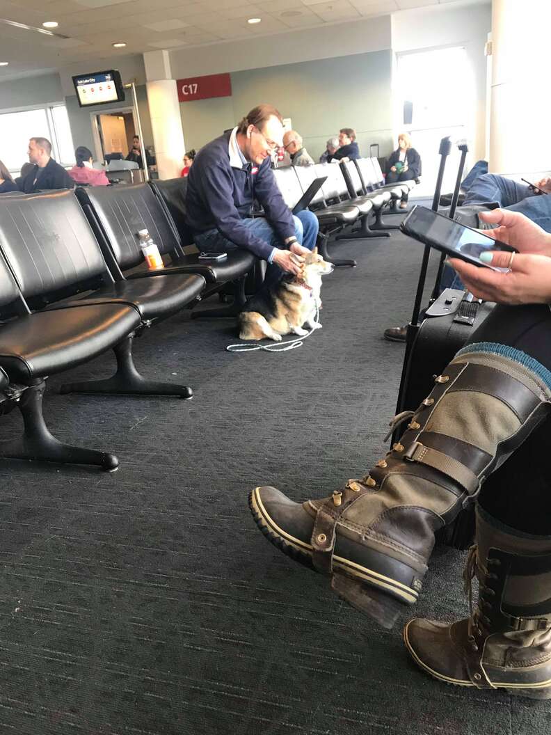 corgi comforts man in airport