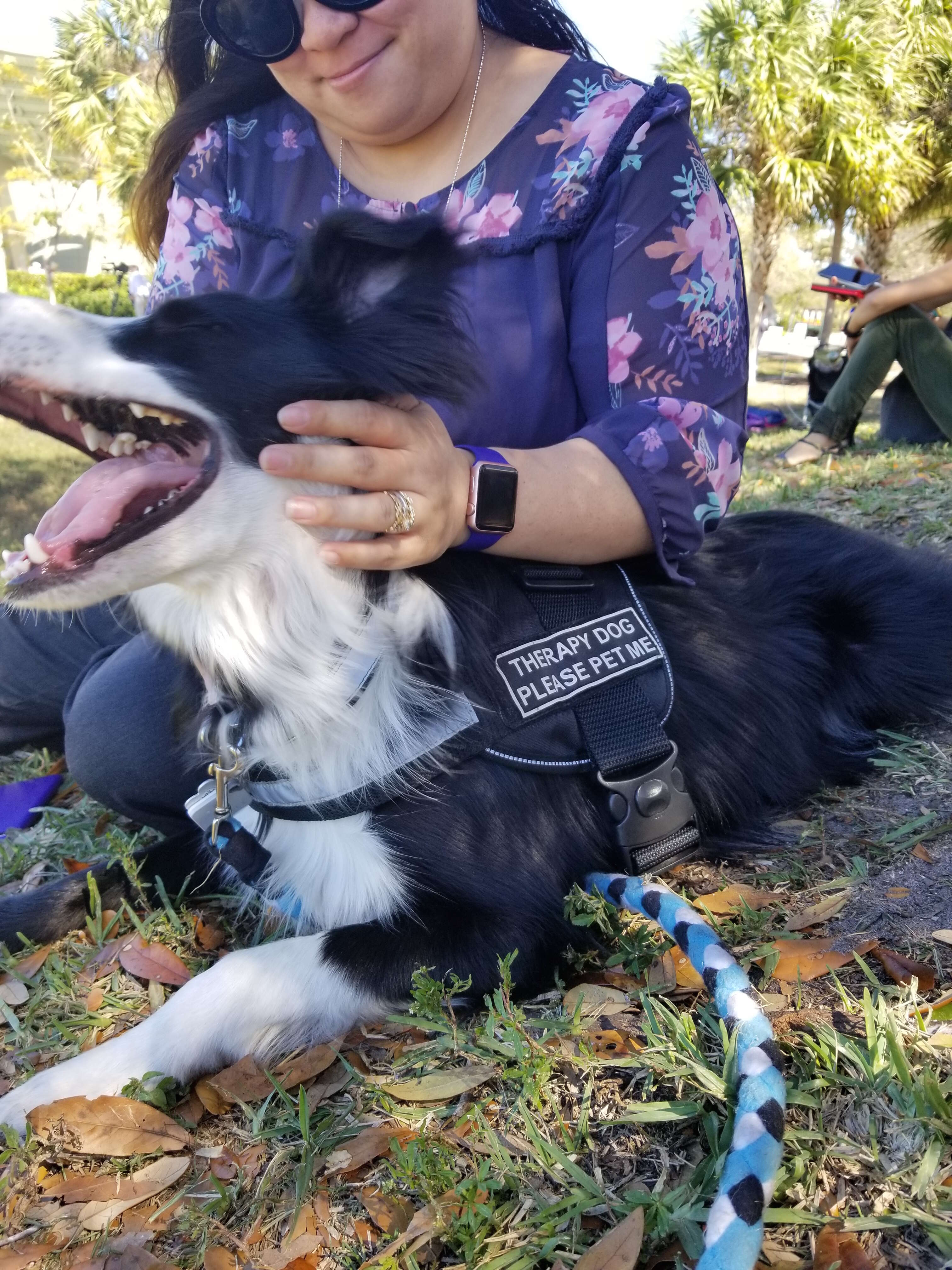 Therapy dog Kermit comforting Parkland, Florida, community after high school shooting
