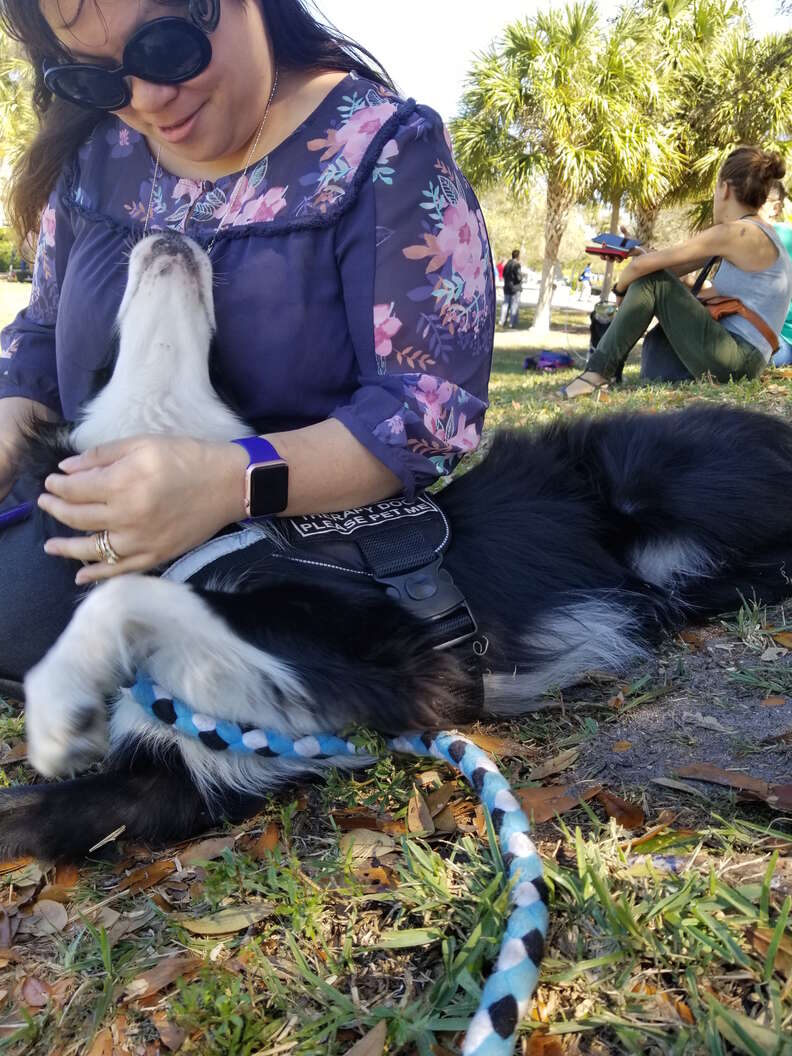 Therapy dog Kermit comforting Parkland, Florida, community after mass shooting