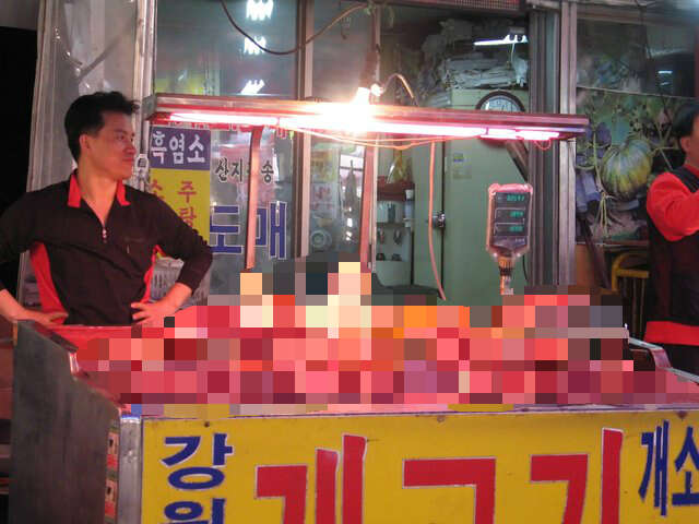 dog meat market olympics south korea
